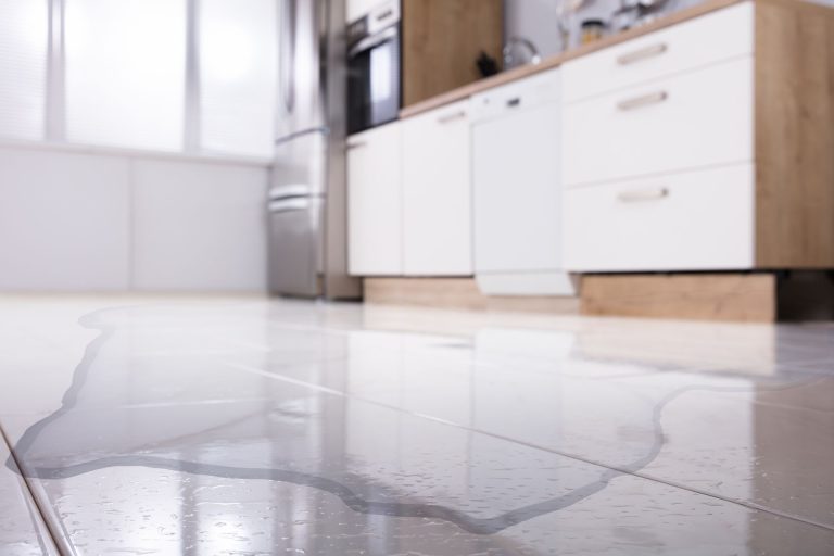 Signs You’ve Chosen a Good McKinney Water Damage Cleanup Company