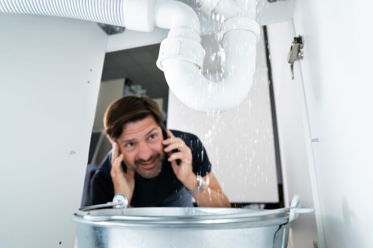 What Happens During Professional Water Damage Repair in Cape Coral?