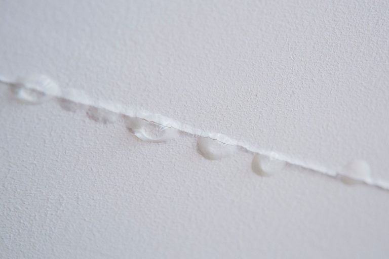 Signs That Your Benson Home Needs Water Damage Restoration