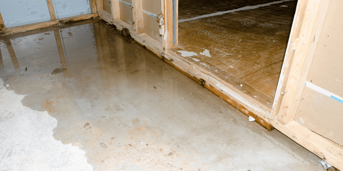 Water damage in basement