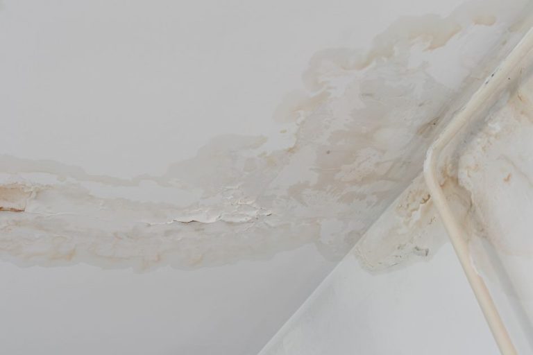 Roof Leak vs. Plumbing Leak: What’s Causing a Ceiling Stain?